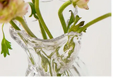 CrystalBloom Onregelmatige Transparante Glazen Vaas – Moderne Bloemdecoratie voor Tafel en Interieur
