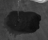 AquaZacht – Superabsorberende Bademat van Koralenfluweel