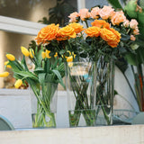 AquaClear Grote Transparante Cilinder Bloemenvaas