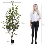 Kunstplant Eucalyptusboom in Pot