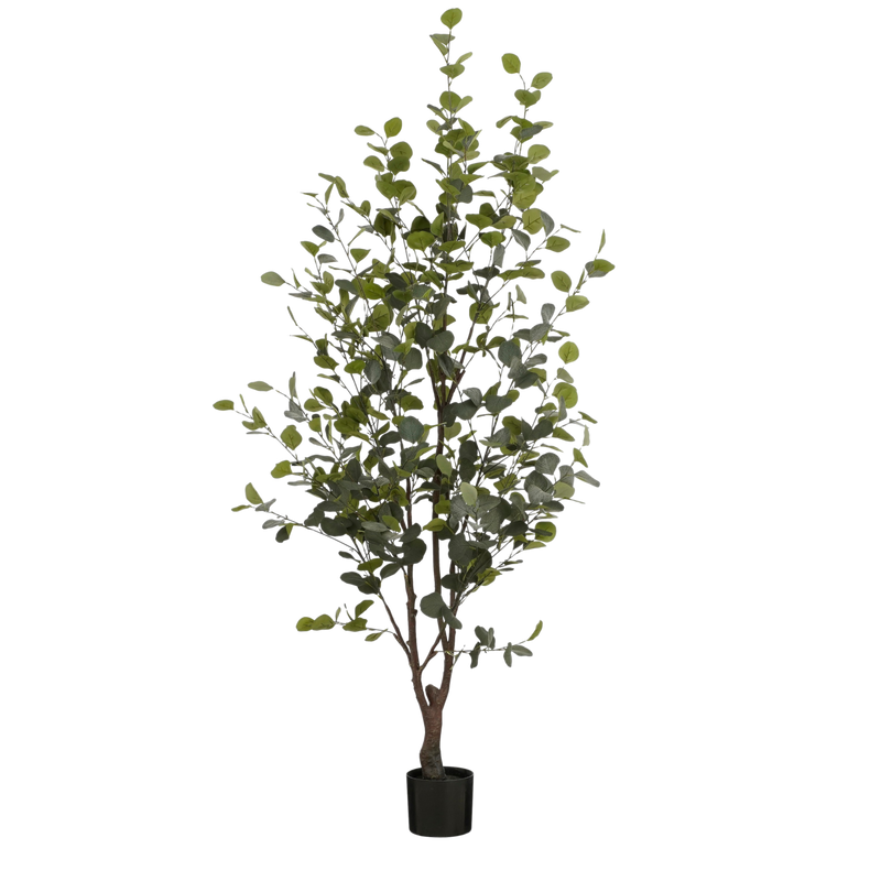 Kunstplant Eucalyptusboom in Pot